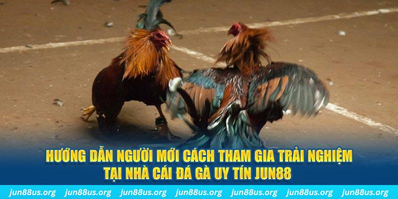 tk 88 loi game dot kich ket noi may chu that bai