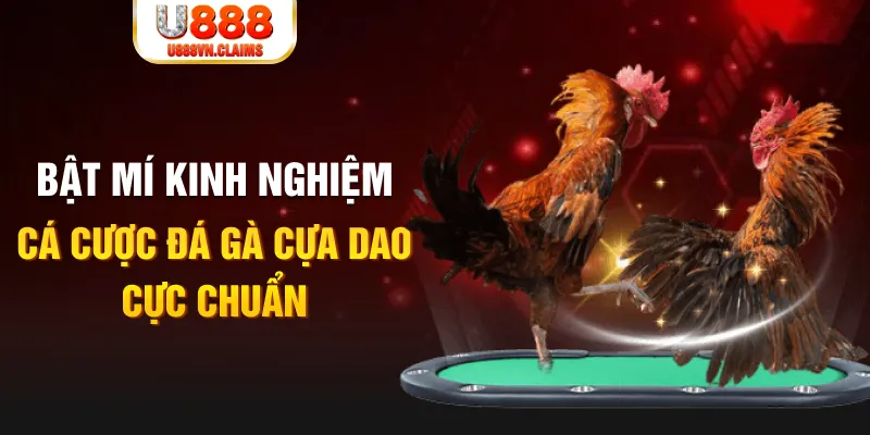 tk 88 xổ số miền nam xổ số miền nam