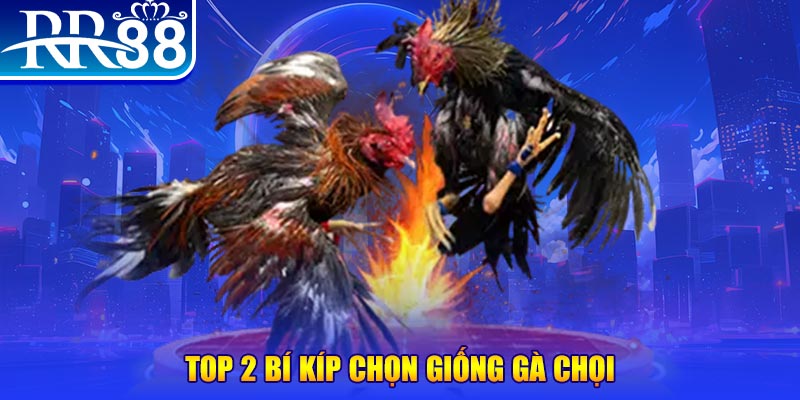tk 88 mục tiêu của người chơi trong baccarat là gì？