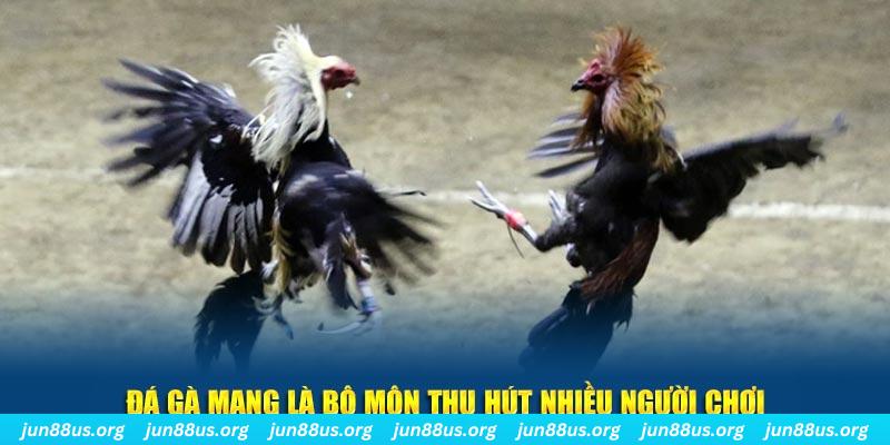 tk 88 tại sao tải game bài sunwin không được