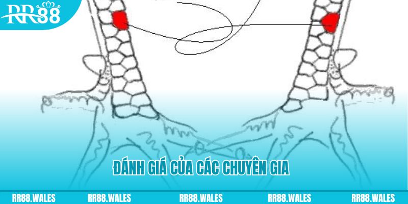 tk 88 V8 Game Bài 3d