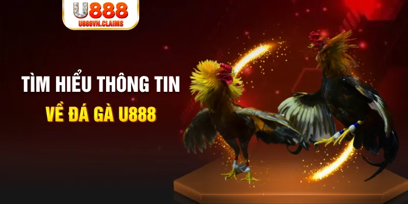 tk 88 đăng nhập tiến lên miền nam hàng đầu