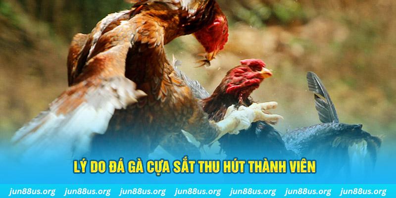 tk 88 chiếm slot là gì