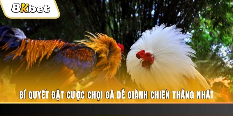 tk 88 xổ số thứ hai hàng tuần