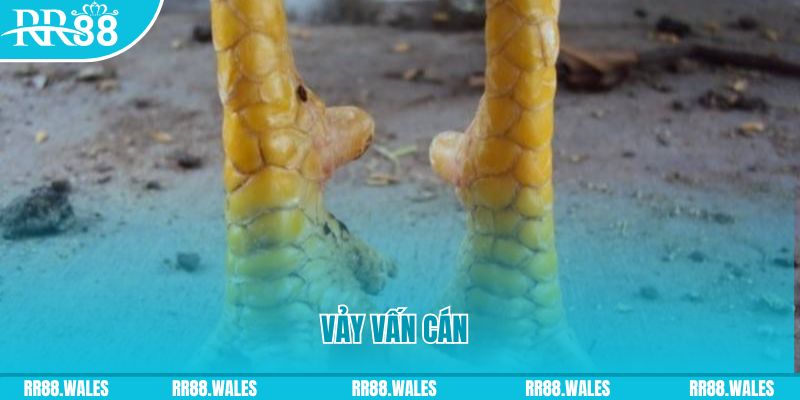 tk 88 đăng nhập nổ hũ hôm nay