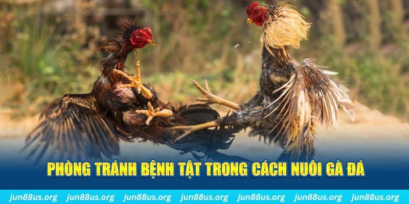 tk 88 đăng nhập phỏm online
