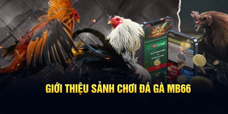 tk 88 đăng nhập poker hôm nay